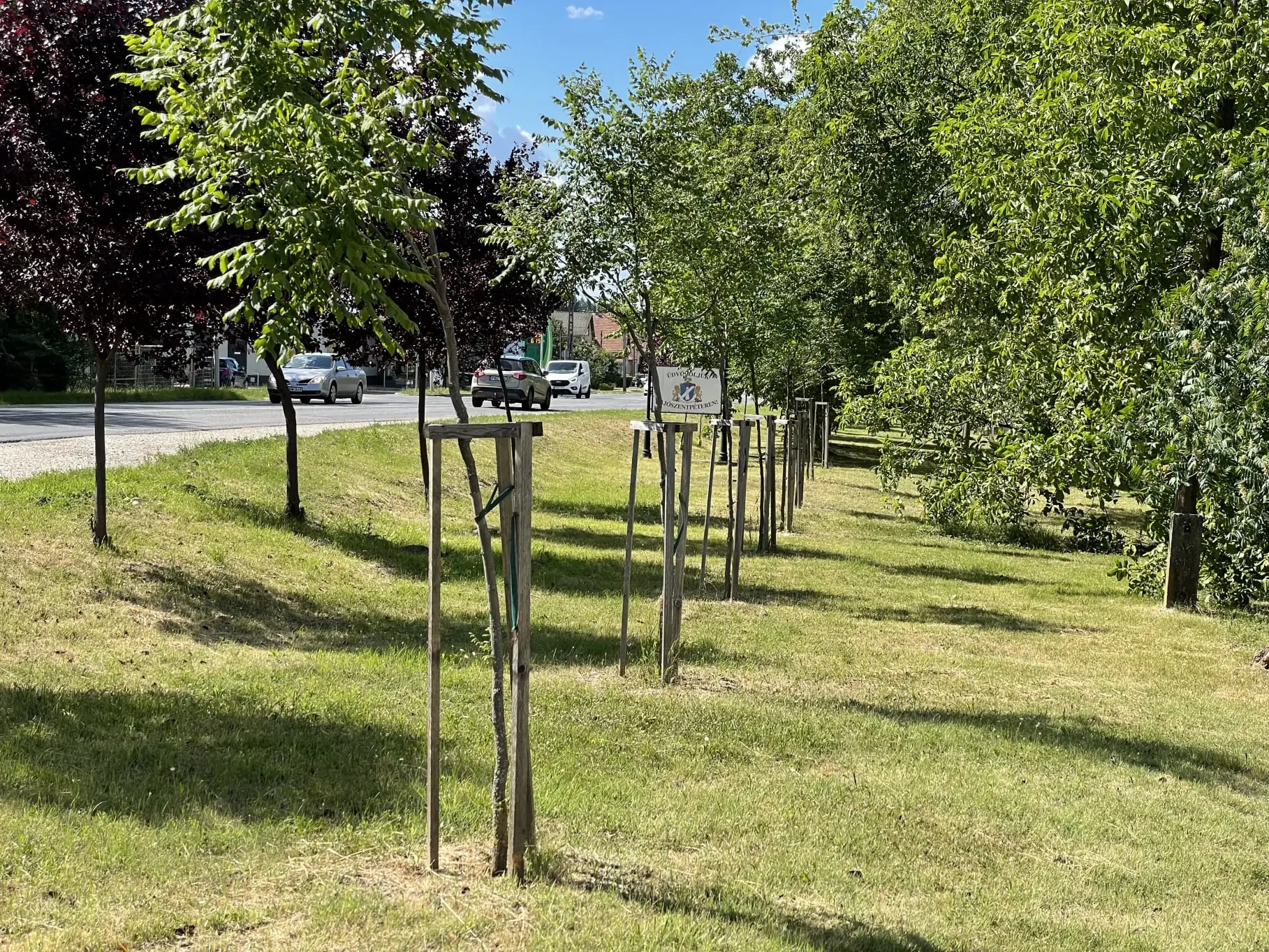 Belterületi zöldinfrastruktúra fejlesztése Sajószentpéter városban
