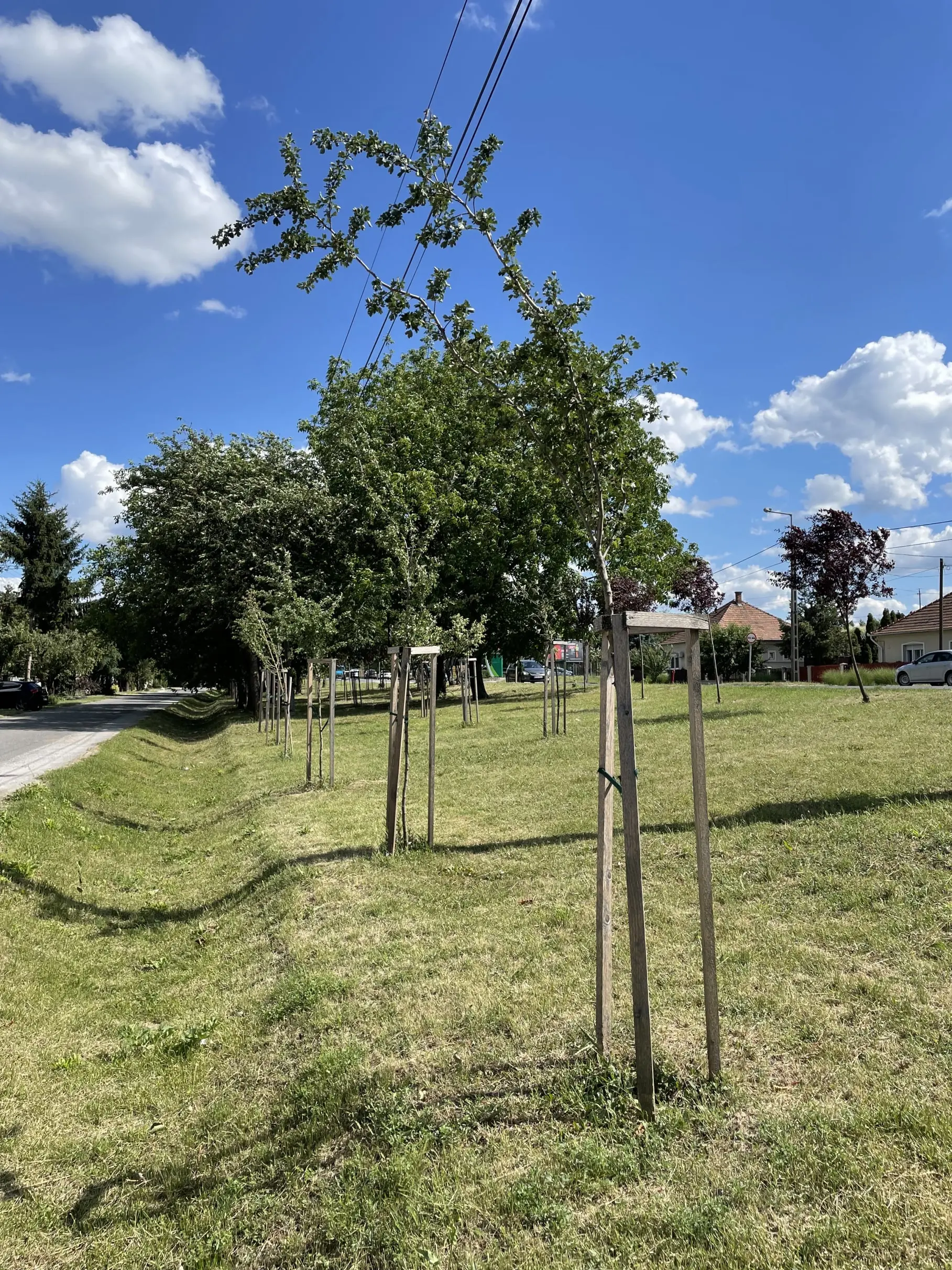 Belterületi zöldinfrastruktúra fejlesztése Sajószentpéter városban