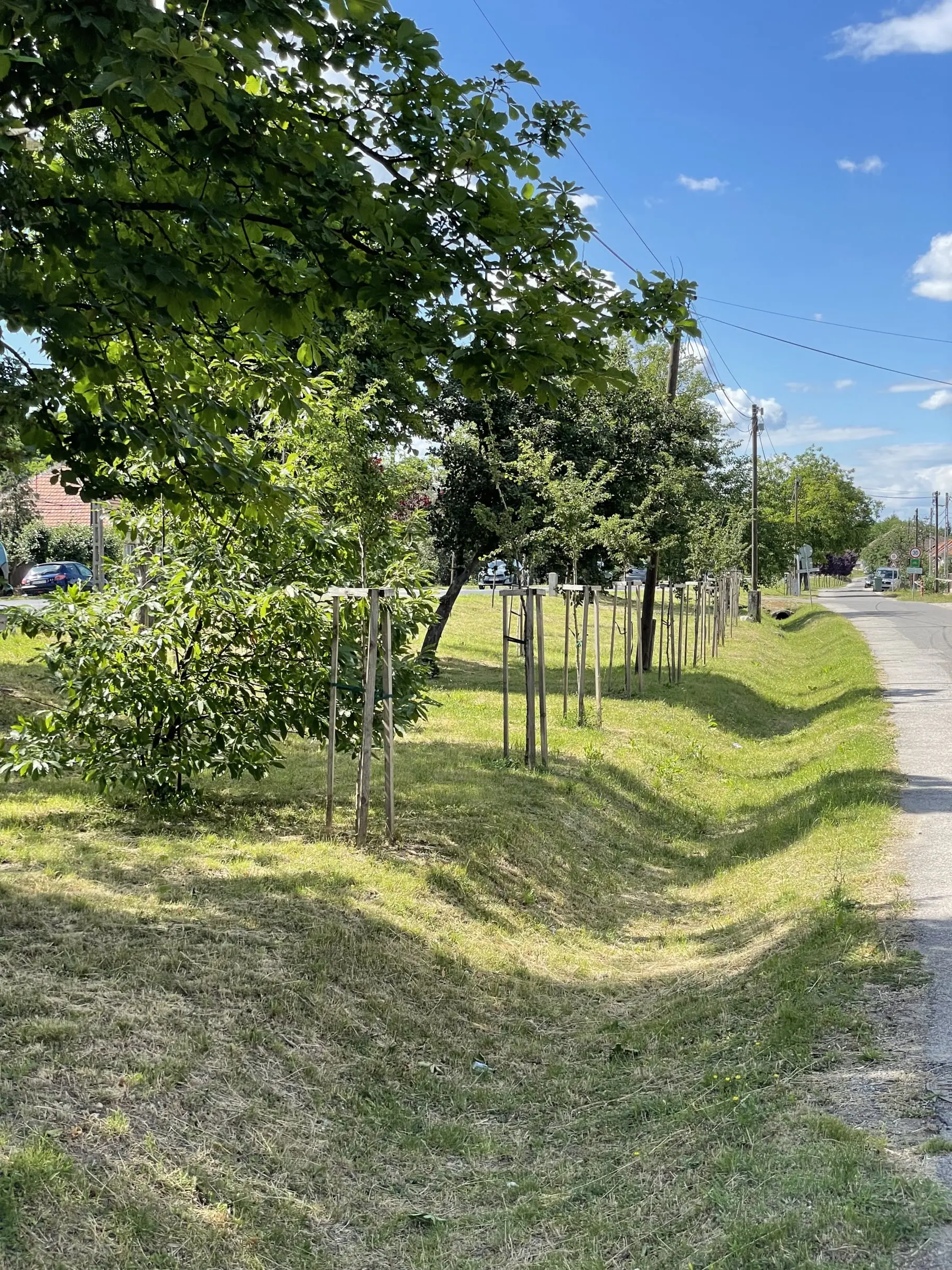 Belterületi zöldinfrastruktúra fejlesztése Sajószentpéter városban